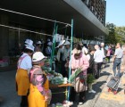 とれとれ朝市
