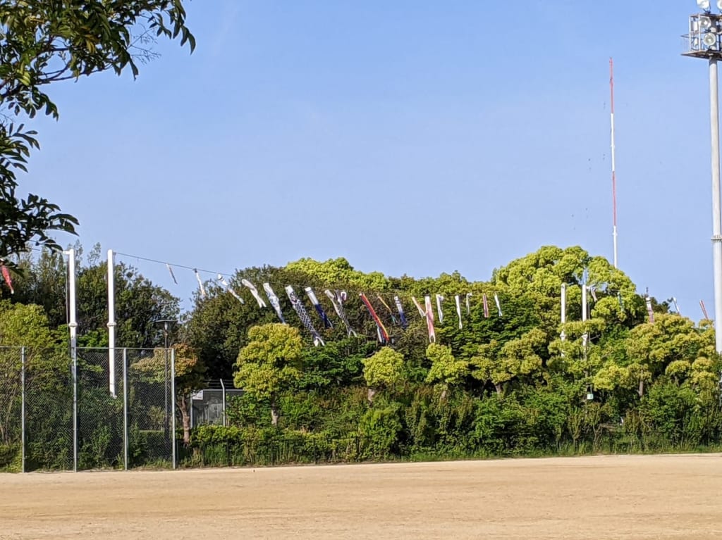 鴨公園 こいのぼり